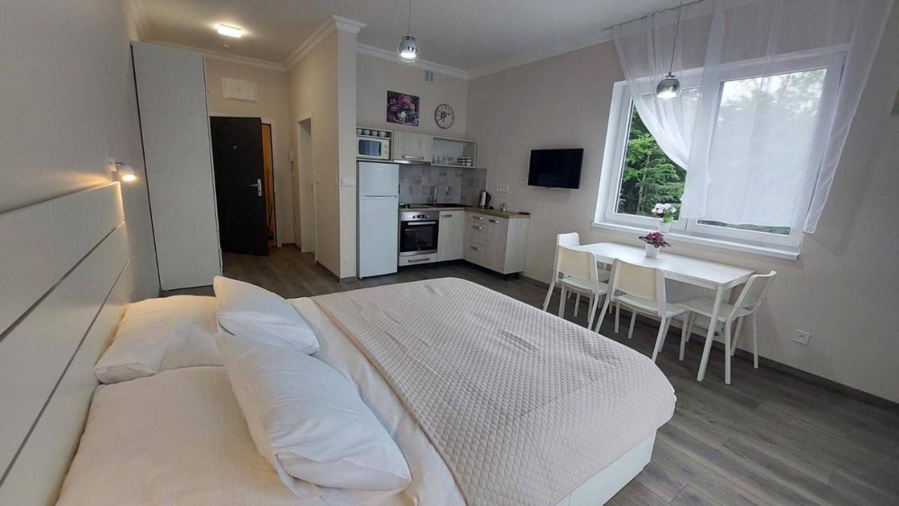 Apartment With Ap. Garden